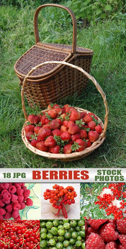 Berries stock photo sharegraphic.com