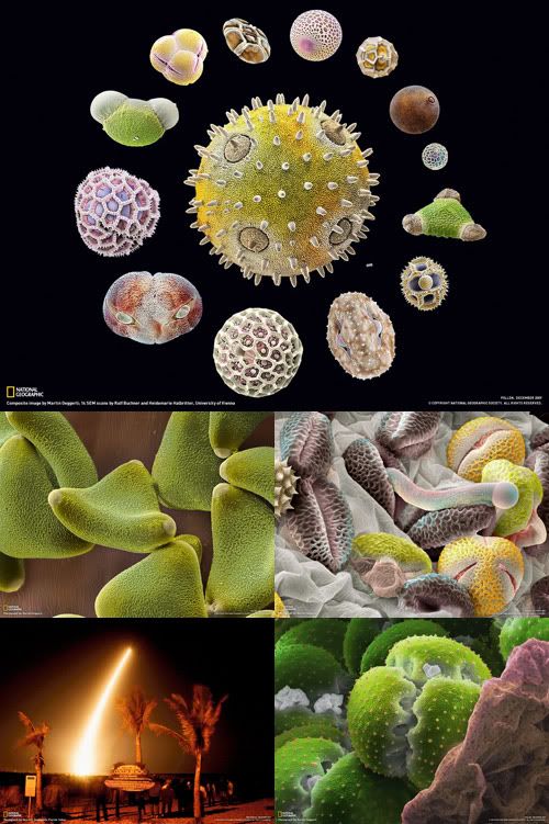 national geographic jobs national geographic jobs