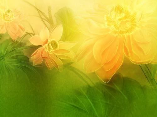 flower backgrounds for photoshop. Flower Background PSD Template