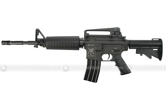 SRC-AEG-M4A1FM-L.jpg