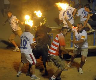 Flaming-bulls-of-Amposta--007.jpg picture by anneveggie46