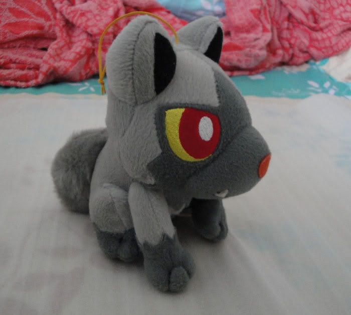 poochyena plush