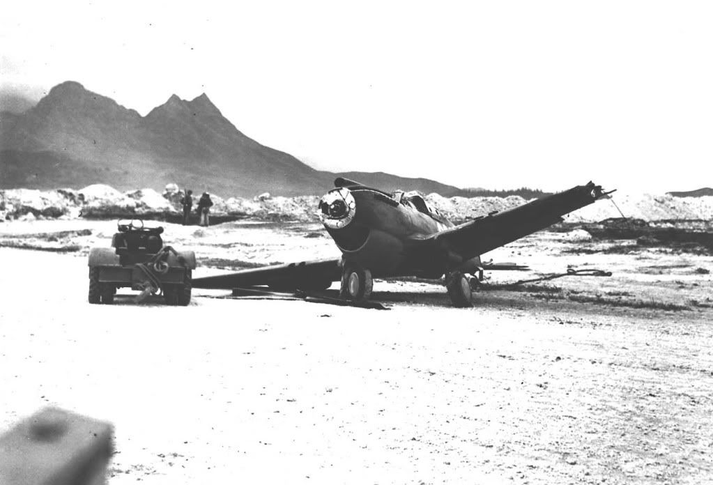 [Image: neg_0065_damaged_P-40_after_Japanes.jpg]