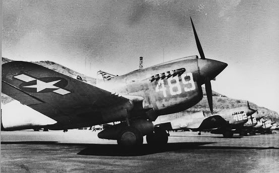 [Image: neg_0102_P-40N_aircraft_of_333rd_Fi.jpg]