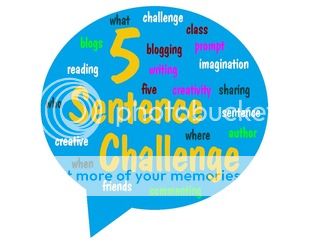 5 sentence challenge logo