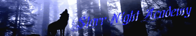 Starr Night Academy banner