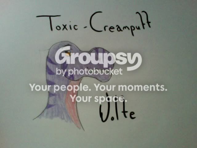 User Image